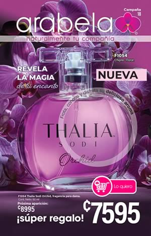 Catálogo ARABELA Campaña 18